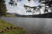 Lac de Guéry